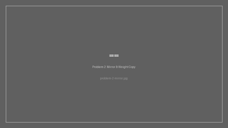 Mirror랑 웨이트 복사, 대체 어떻게 하는 거야?